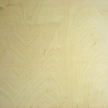 BIRCH PLYWOOD��Ԕ��(x��)��B