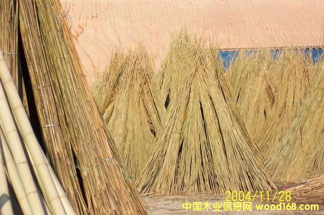 ��֦��Ԕ����B