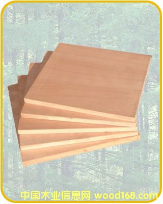 ��ľ�����Ԕ����B