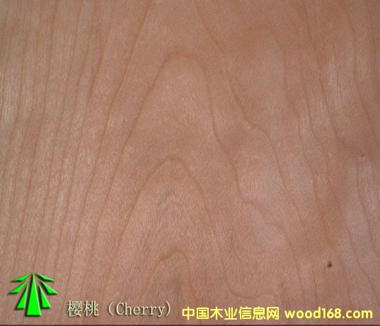 ���ҵ�Ԕ��(x��)��B