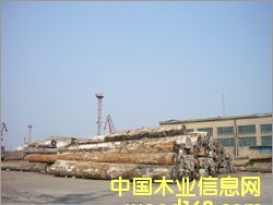 ���޼t�����Ԕ����B