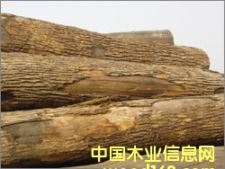 ���_˹ˮ������Ԕ����B