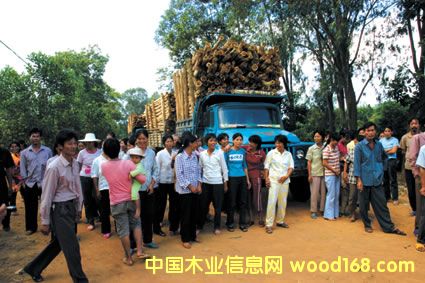 ����ľ�S(ch��ng)ľ���\(y��n)ݔ�F(xi��n)��(ch��ng)��Ԕ��(x��)��B