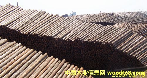 ����ľ�S(ch��ng)ľ�ĵ�Ԕ��(x��)��B