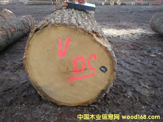 ����ľ�S(ch��ng)ľ�ĵ�Ԕ��(x��)��B