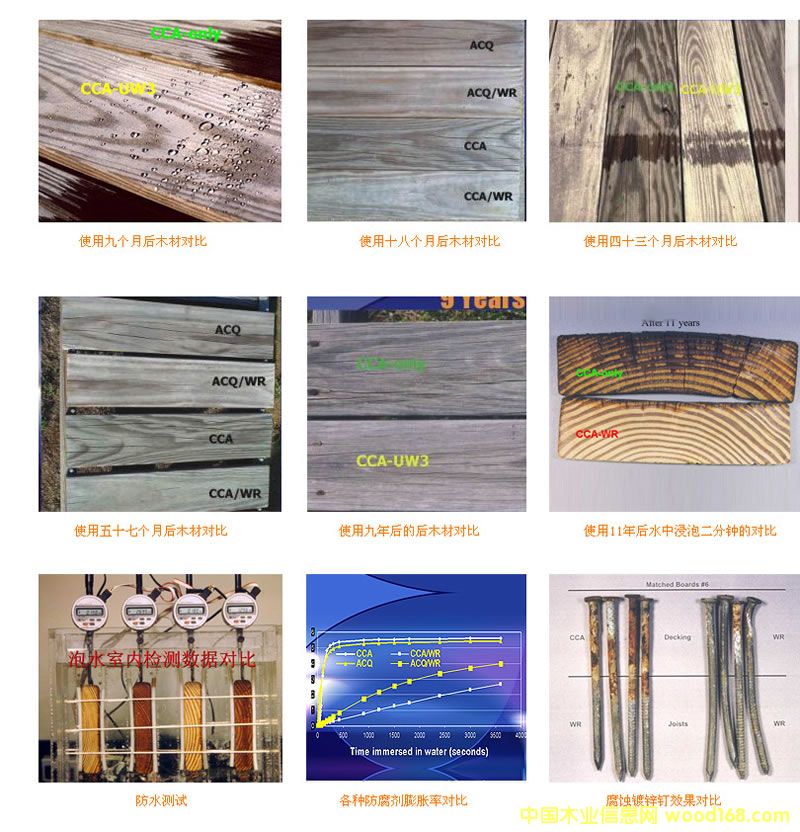 ����ľ��Ԕ����B