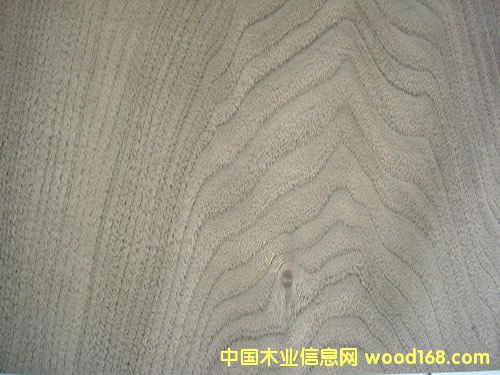 ���Ҙ�Ƥ��Ԕ��(x��)��B