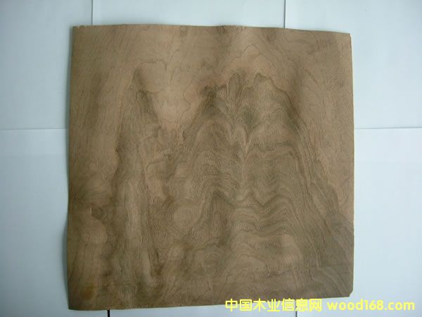 ���Ҙ�Ƥ��Ԕ��(x��)��B