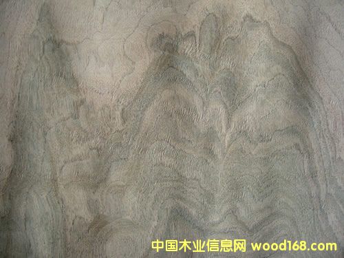 ���Ҙ�Ƥ��Ԕ��(x��)��B