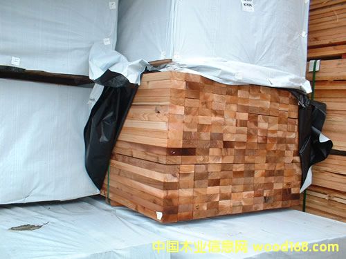 ����ɼ/ѩ��/��ص�Ԕ����B