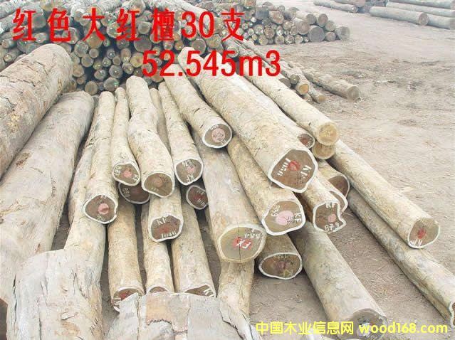 PAO ROSA        �� �t ̴��Ԕ��(x��)��B