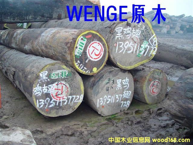 WENGE    �� �u ��   ֧   240m3��Ԕ��(x��)��B