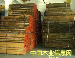 Beech �W��ɽë�� ��(gu��)�M(j��n)�ڰ�ľ��Ԕ��(x��)��B