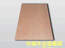 �����z�ϰ��Ԕ����B