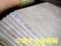 �h���ͼ���ľ�C�ƃ������ɰ��Ԕ����B