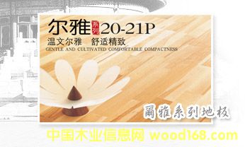 ����ϵ�е�Ԕ����B