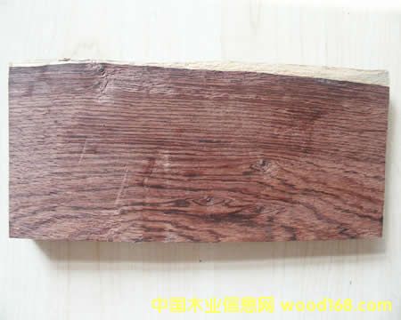 ���޼tľ���t��֦���u��ľ����ϧľ�ĵ�Ԕ����B