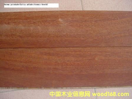 �Ĵ������t��ذ��Ԕ����B