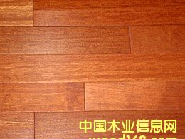 �Ĵ������t��ذ��Ԕ����B