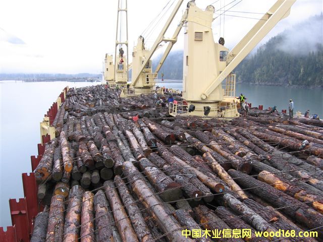 �c���鿴���ô���ɼ�Ŵ�DƬ