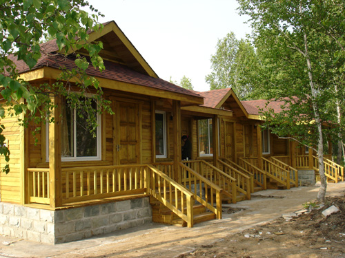 ����(y��ng)ľ�e����Ԕ����B