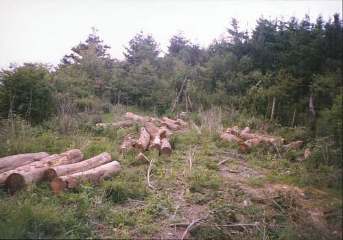 �sľԭľ��Ԕ����B