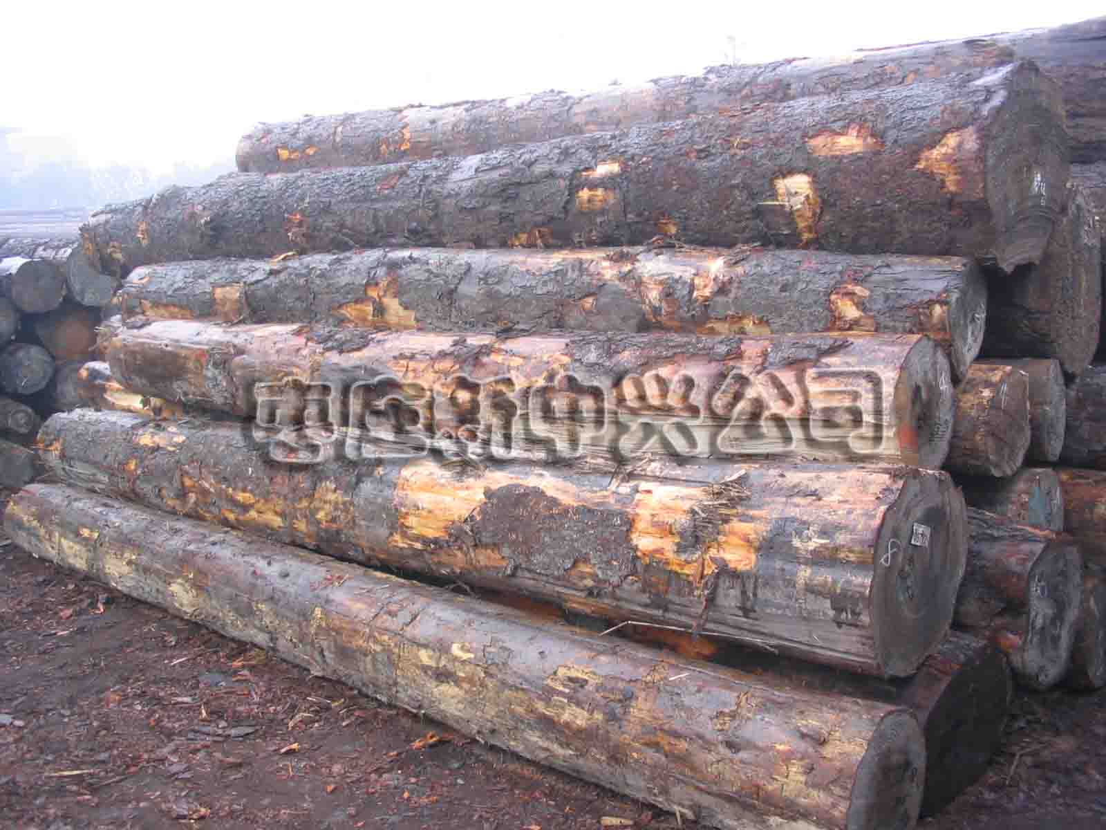 ��ɼ��Ԕ����B