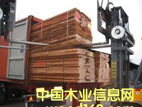 �W�ޙ�ľ��Ԕ����B