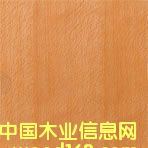 ����N����Ԕ��(x��)��B