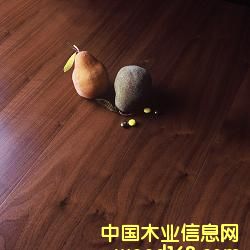 �ں��Ҍ�ľ�ͺϵذ��Ԕ����B