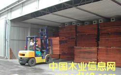 ��ĸ����Ԕ����B