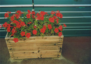 ����ľ�����Ԕ����B