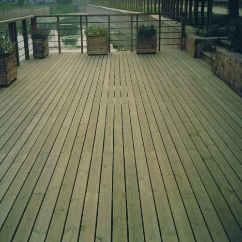 �Fɼ����ľ��Ԕ����B