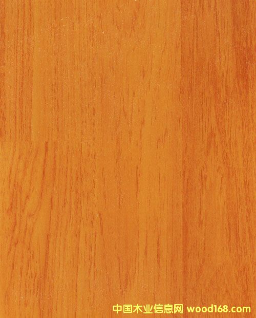 ��Ȼ���L�������ذ��Ԕ����B