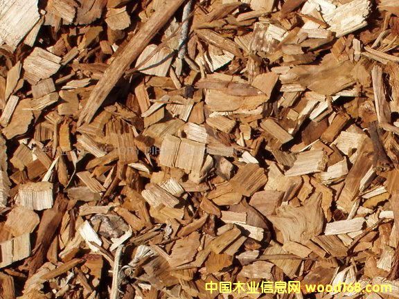 ľ���Ԕ����B