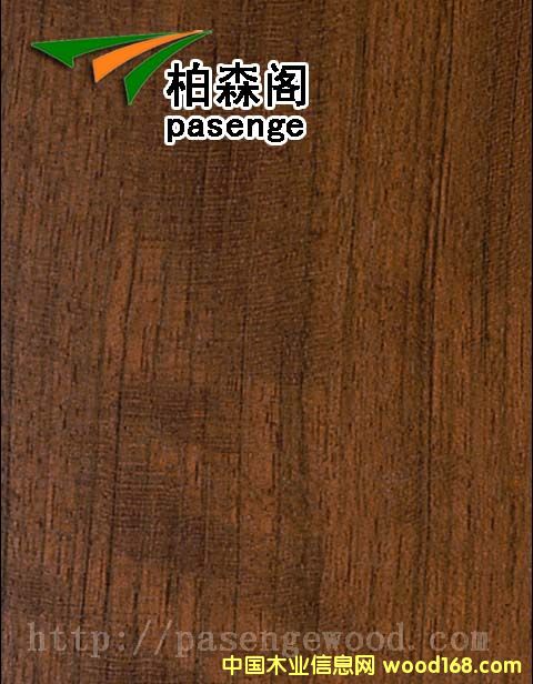 ����ľ��Ԕ����B