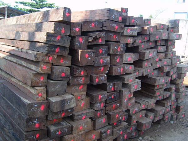 ������(���P̴)��Ԕ����B