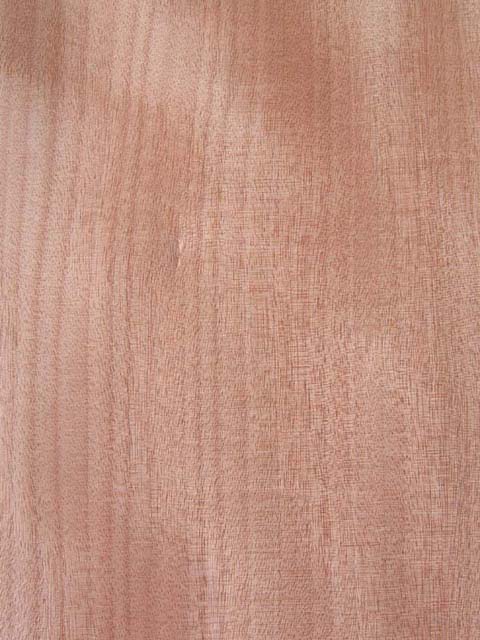 �t����ľƤ(ֱ�y)mahogany(Q)