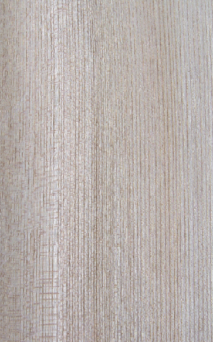 ���a��˨��ֱ�y��china  hackberry(Q)