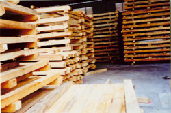 ���|ɼľ䏲Ĵ���������Ԕ����B