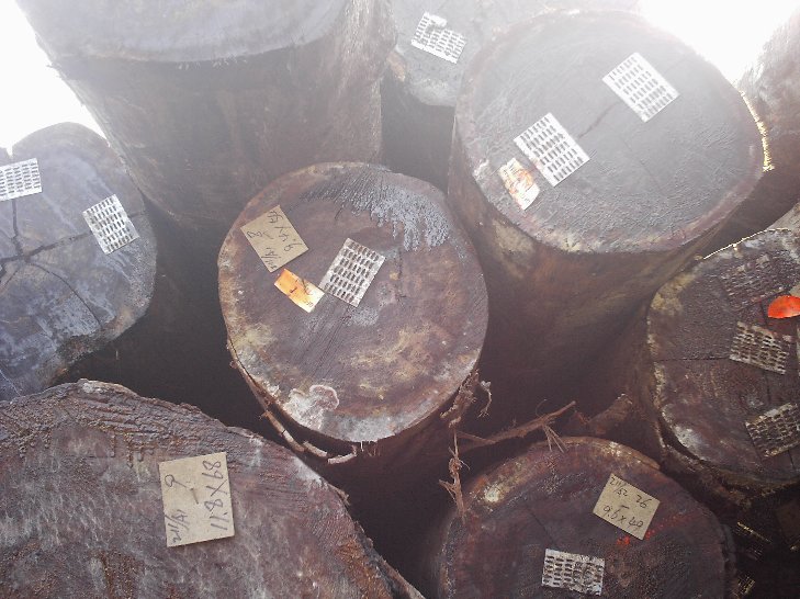 �����ͻ���ԭľ��Ԕ����B