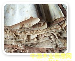 �������sľо�壮�ΰ��Ԕ��(x��)��B