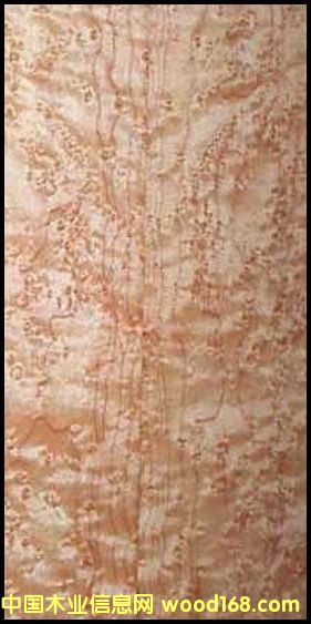 ȸ�ۗ�ľ��Ԕ����B