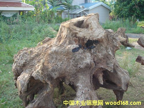 ����ľ��(sh��)��A��Ԕ��(x��)��B