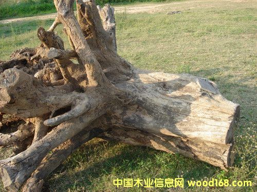 ����ľ��(sh��)��B��Ԕ��(x��)��B