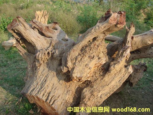 �t��֭a��Ԕ��(x��)��B