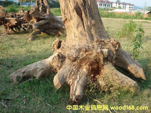 ����ľ��(sh��)��C��Ԕ��(x��)��B