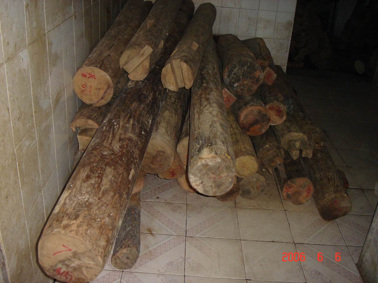 �S�����f������������Ԕ����B