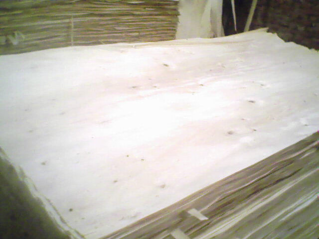 ��ľ���N���eƤ