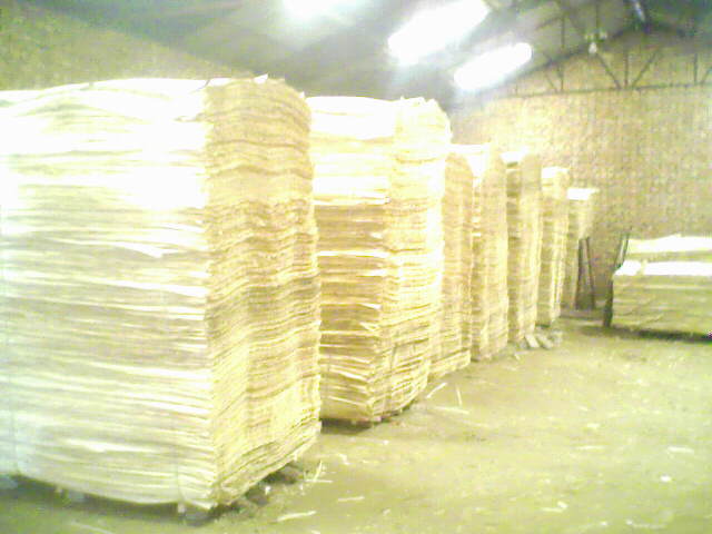 ��ľ���N���eƤ